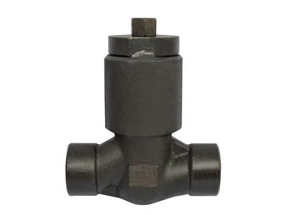 API 602 High Pressure Seal Piston Check Valve, 1 Inch, 2500LB