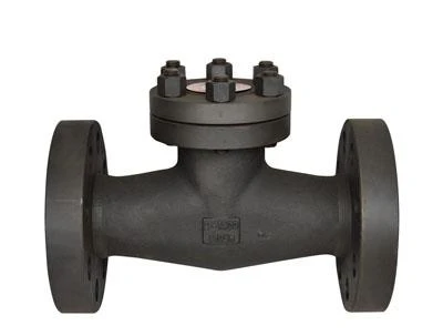 API 602 Cryogenic Piston Check Valve, 3/4 Inch, 1500LB, RF